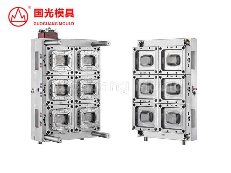 Plastic Mould For Packaged Food Square Cover