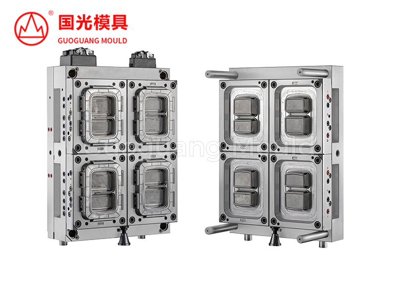 Plastic Double Compartment Lunch Box Mould 