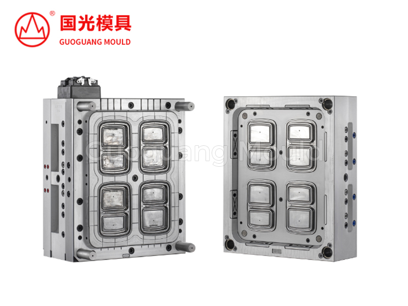 Double Compartment Lunch Box Mold