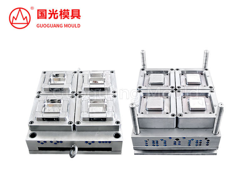 Multi-Cavity Small Square Box Mold